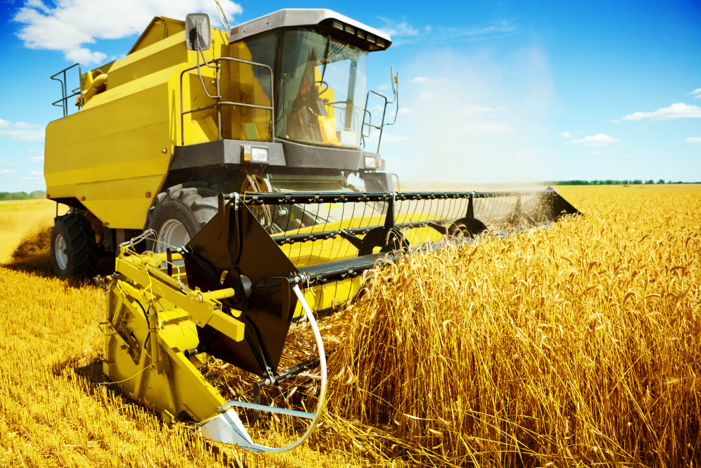 agriculture represented by a yellow harvester truck in a grain field